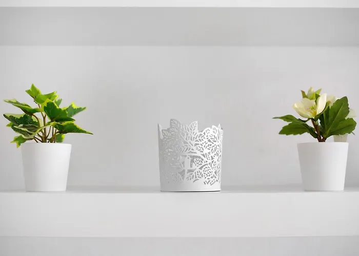 Playa 1c * Morro Jable (Fuerteventura)